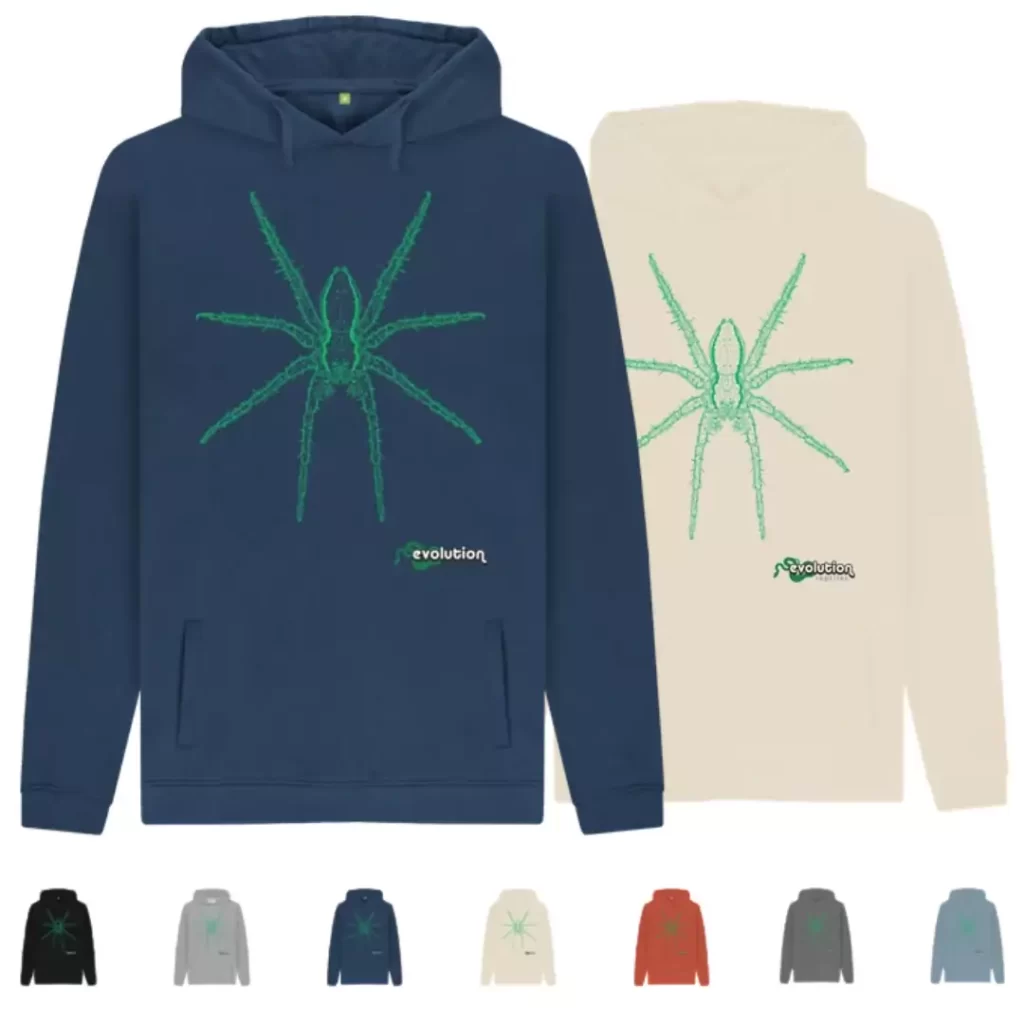 	
spider hoodie 555