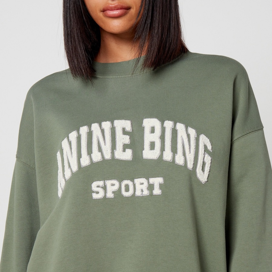 anine bing sweatshirt