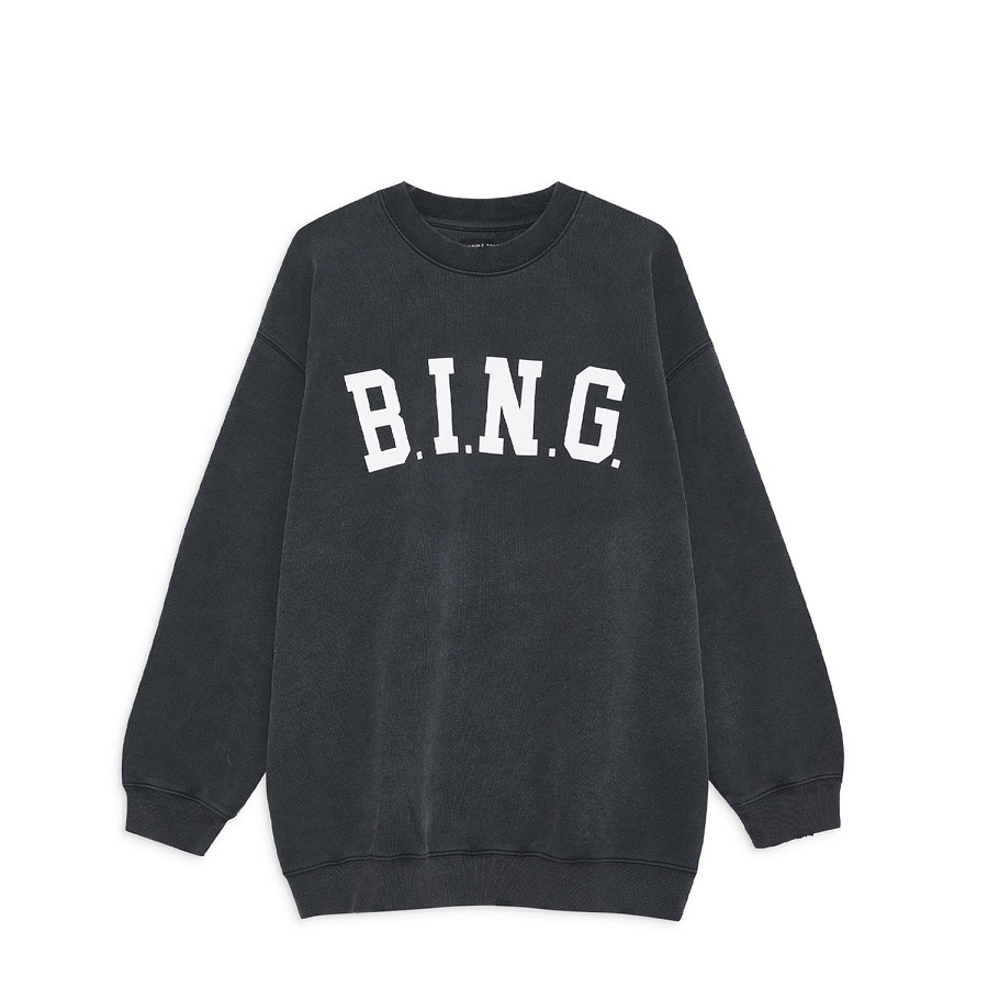 anine bing sweatshirt
