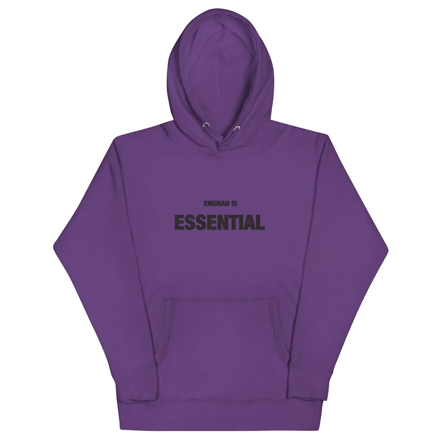 essentials sweatshirt
