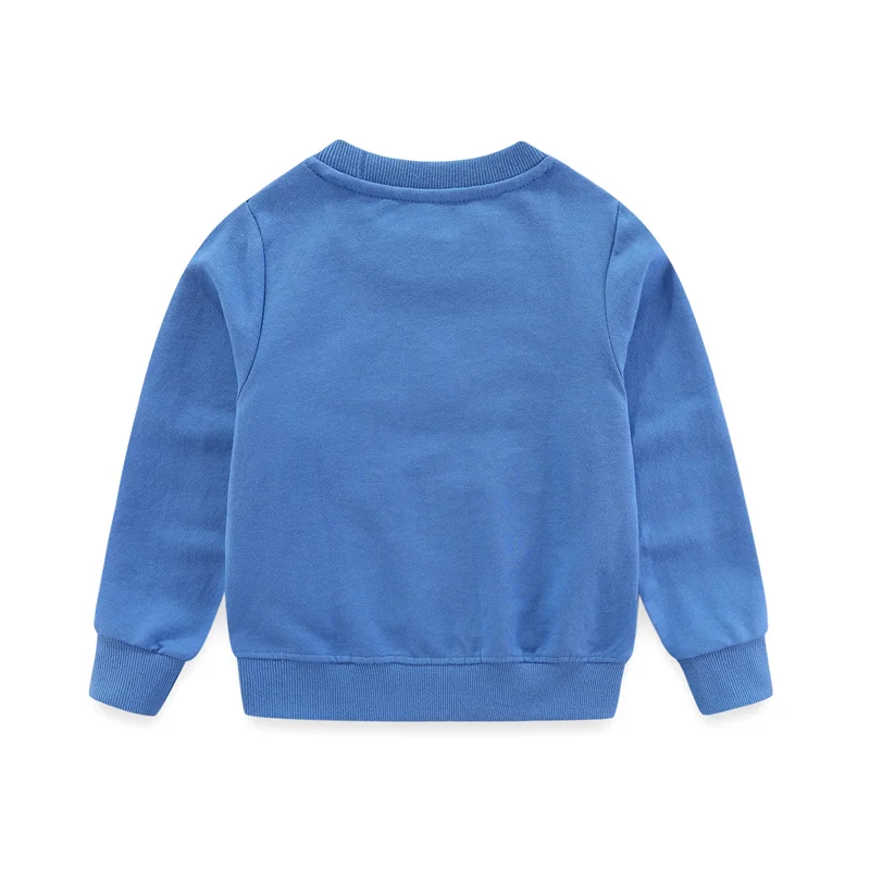 blue sweatshirt